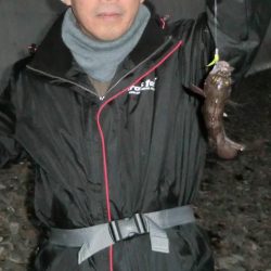 2020初メバリング